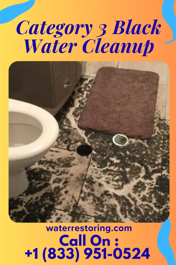 Category 3 Black Water Cleanup in Seabrook, MD