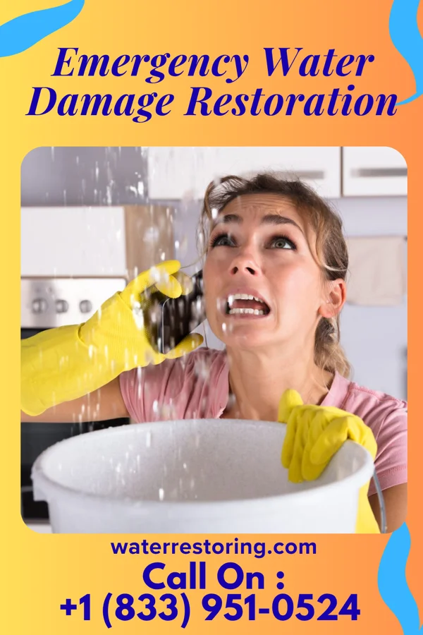Emergency Water Damage Restoration in Seabrook, MD