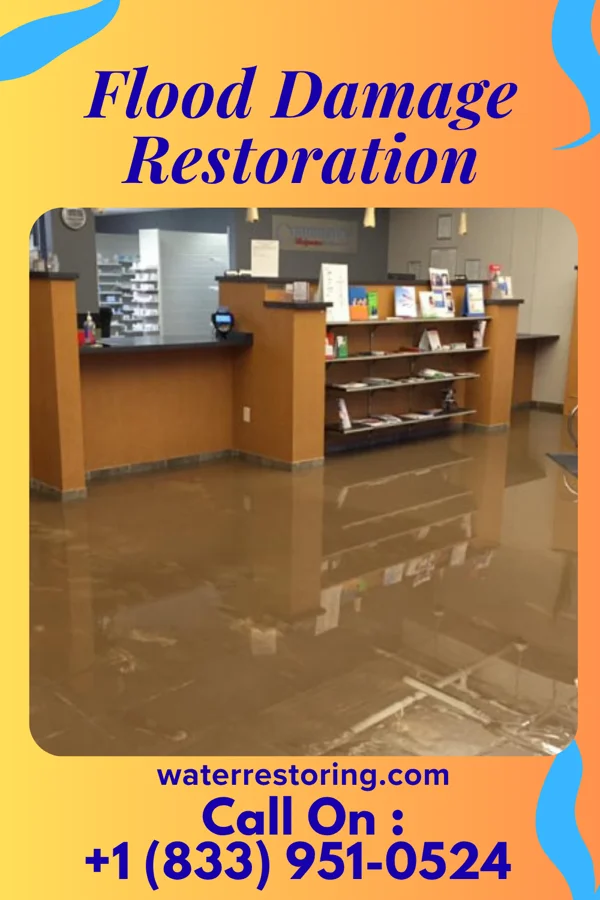 Flood Damage Restoration in Seabrook, MD