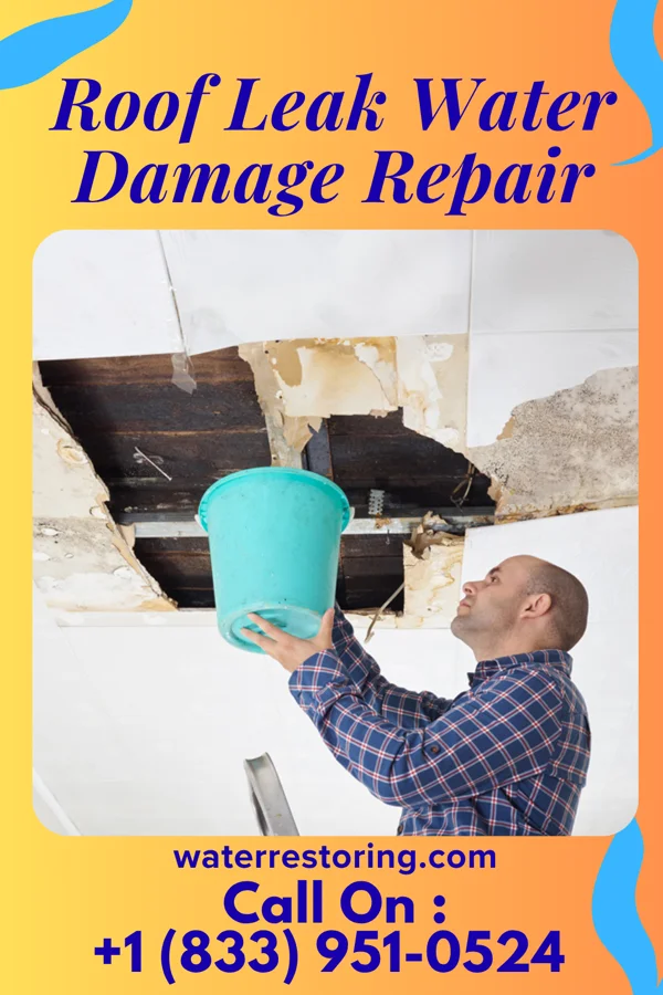 Roof Leak Water Damage Repair in Seabrook, MD